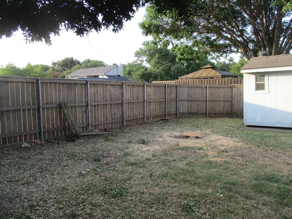 Cleared yard after professional tree removal in Lore City